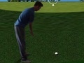 Spel Flash Golf 3D