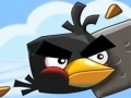 Spel Crazy Birds