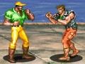 Spel Hardest Fighter 2