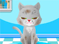 Spel My Pet Spa