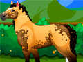 Spel Pony Dress Up