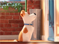 Spel Hidden Letters in The Secret Life of Pets