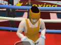 Spel Summer Sports: Boxing