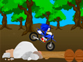 Spel Cross Sonic Race 