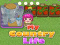 Spel My County Life