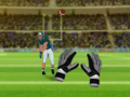 Spel American Football Challenge