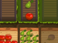 Spel Fruit Gardener