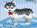 Spel My Cute Dog Bathing