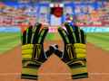 Spel Cricket Fielder Challenge
