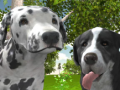 Spel Dog Simulator 3d