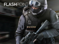 Spel Flashpoint