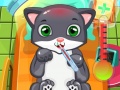 Spel Cat Doctor