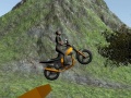 Spel Dirt Bike Rider