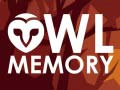 Spel Owl Memory