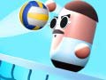 Spel Pill Volley