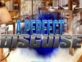 Spel A Perfect Disguise