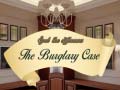 Spel Spot The Differences The Burglary Case