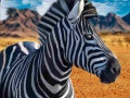 Spel Zebra Hunter