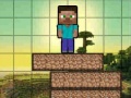 Spel Minecraft Survival Chapter 2