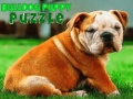 Spel Bulldog Puppy Puzzle