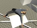 Spel Ragdoll Test