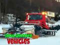 Spel Snow Groomer Vehicles