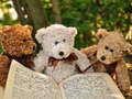 Spel Cuddly Three Teddy Jigsaw