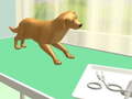 Spel Paw Care