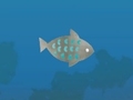 Spel Fish Companions