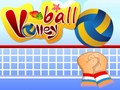Spel Volleyball