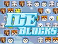 Spel Ice Blocks