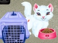 Spel Baby Taylor Pet Care