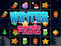 Spel Winter Pairs