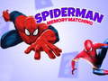 Spel Spiderman Memory Matching