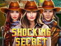 Spel Shocking Secret