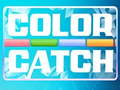 Spel Color Catch