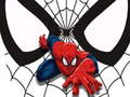Spel Spiderman Match Cards