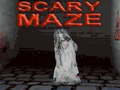 Spel Scary Maze 3D