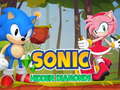 Spel Sonic Hidden Diamonds
