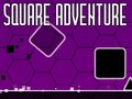 Spel Square Adventure