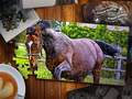 Spel Jigsaw Puzzle Horses Edition