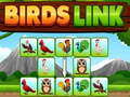 Spel BIRDS LINK