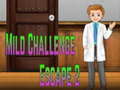 Spel Amgel Mild Challenge Escape 2