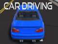 Spel Car Driving
