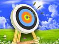 Spel Archer Master