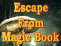Spel Escape From Magic Book