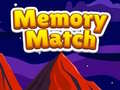 Spel Memory Match