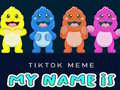 Spel TikTok Meme My Name Is