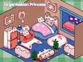 Spel Organization Princess 