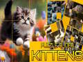 Spel Puzzle Sliding Kittens